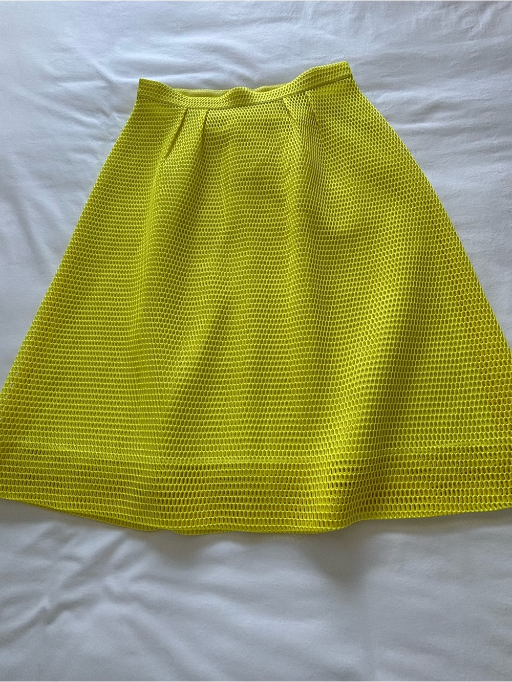 NWOT! RARE! J.Crew Collection Mesh Skirt